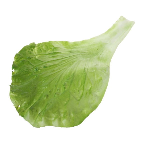 RABBITH Artificial Lettuce Leaves Simulation Fake Lifelike Vegetable Leaf Ornament for Home Bedroom Collection Decor Supplies
