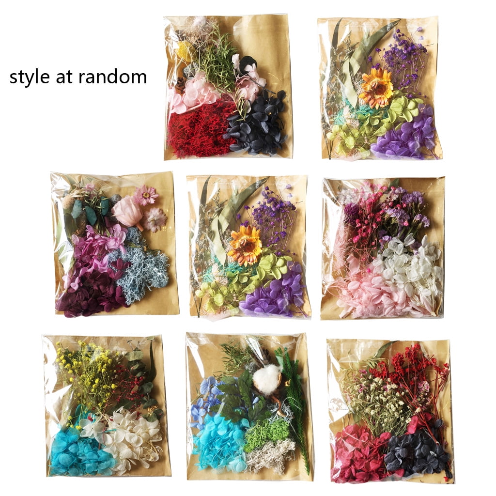 RABBITH Real Dried Mix Pressed Flower Leaf Plant Specimen Epoxy Mold Fillings Nail Art Resin Decals for DIY Craft Jewelry Making