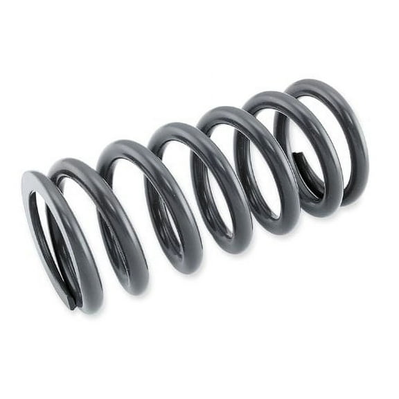 RACE TECH SHOCK SPRING 6.00KG 201-672760