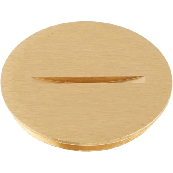 RACO 6209 Threaded Crowned Plug with 3/4-Inch Diameter, Brass