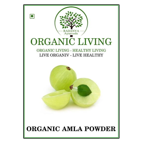 RADANYA Ayurveda Organic Amla Powder, Pack Size: 400g