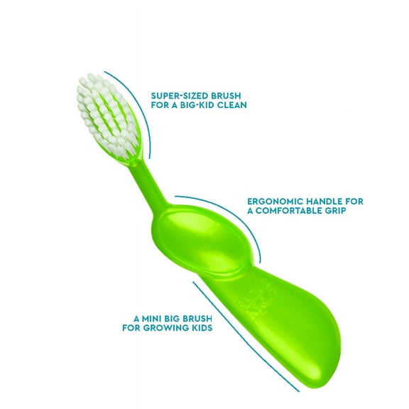 RADIUS Kidz Toothbrush Children's Right Hand BPA Free ADA Accepted Designed to Clean Teeth & Gums for Children 6 Years & Up - Green