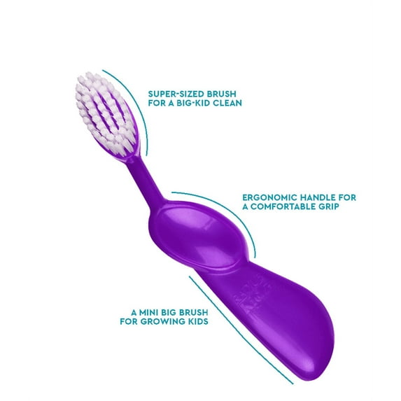 RADIUS Kidz Toothbrush Children's Right Hand BPA Free ADA Accepted Designed to Clean Teeth & Gums for Children 6 Years & Up - Purple