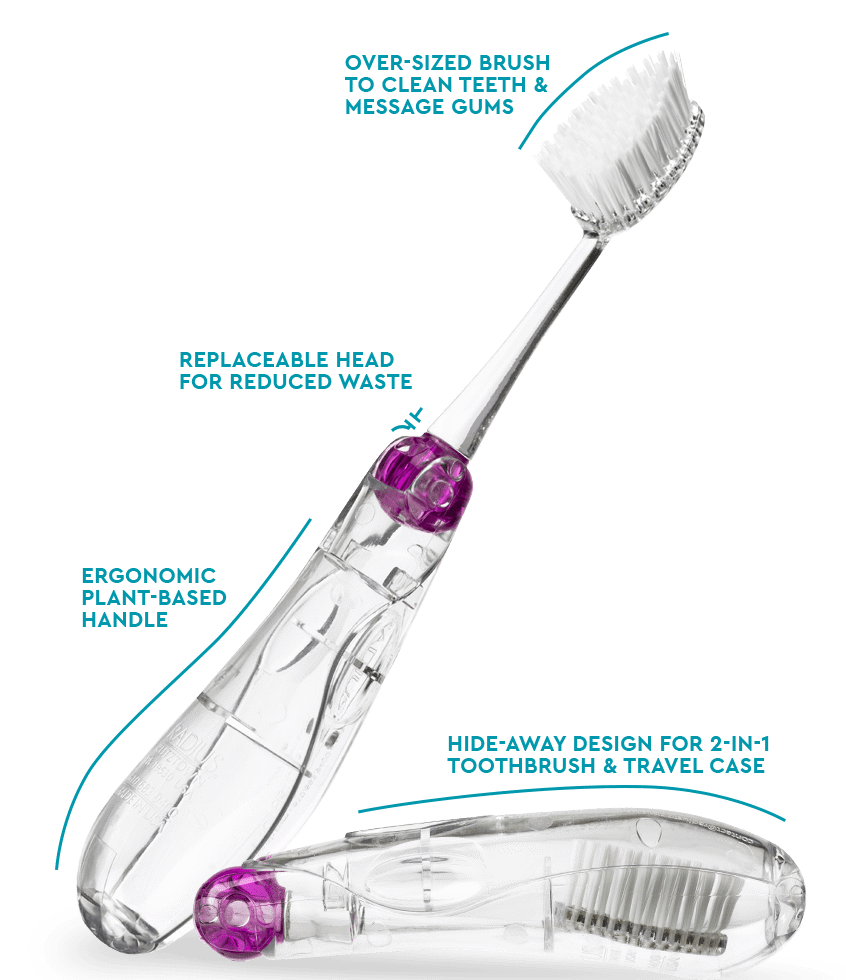 RADIUS Tour Travel Brush & Case with Replaceable Brush Head ADA