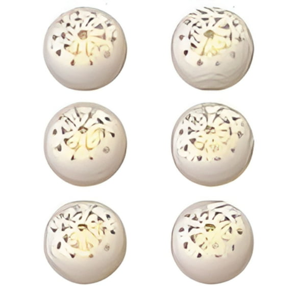 RAGUPEL 2026 New 6Pcs Shoe Odor Eaters Long Lasting Sneaker Ball Deodorizer for Homes Offices Car for Shoes,Sneakers,Boots,Gym Bags,Lockers,Closets,Sports Gear,Indoor Use