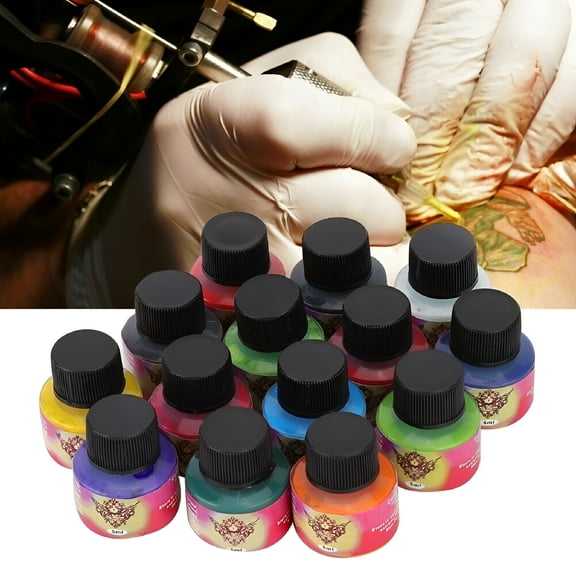 RAGUPEL 2026 New Tattoo Ink Set 14-Color Professional Tattoo Makeup Ink Body Paint for Body Art,Face Paint,Makeup,Craft,Cosplay