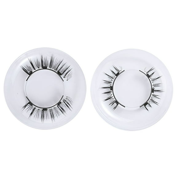 RAGUPEL 2Pcs Magnetic Eyelashes,Fake Eyelash Reusable,Pestanas Postizas Naturales,Style2