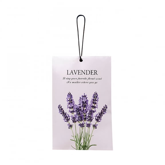 RAGUPEL 4 Pack Scented Sachets for Closet and Drawer, Long Lasting Hanging Air Freshener with Plant Extracts, Aromatherapy Deodorizer for Wardrobe Car and Small Spaces, Multi Scents