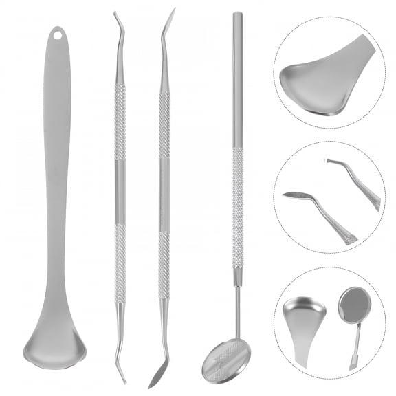 RAGUPEL 4 pieces Stainless Steel Dental Tools Professional Plaque Remover Teeth Cleaning Tools Set (Silver)