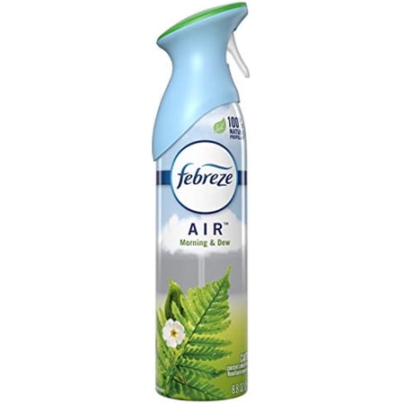 RAGUPEL Air Freshener Spray, Odor Eliminator, Morning And Dew