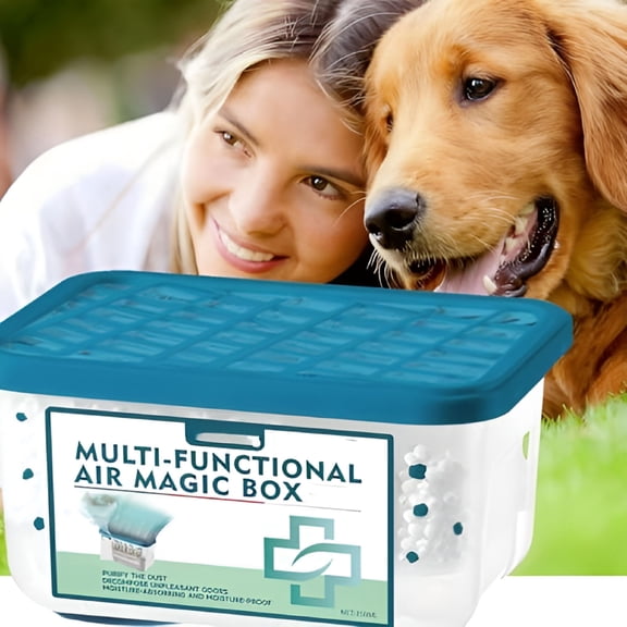 RAGUPEL Air Magic Box,11.67 Fl Oz Multi-Functional Dust Removal And Odor Eliminator Air Freshener for Home (1Pcs)