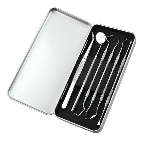 RAGUPEL Dental Tools Teeth Cleaning Tools Kit 6 Pcs Dental Care Kit Stainless Steel Dental Pick Tartar Remover Tool for Home,Dental Office,Personal Oral Care-Teeth Cleaning Kit Storage Case Included