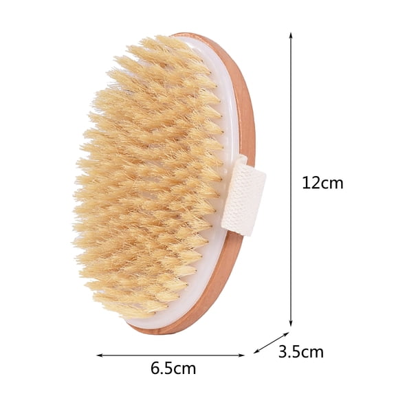 RAGUPEL Dry Brushing Body Brush Natural Bristle Dry Brush For Removing Dead Skin