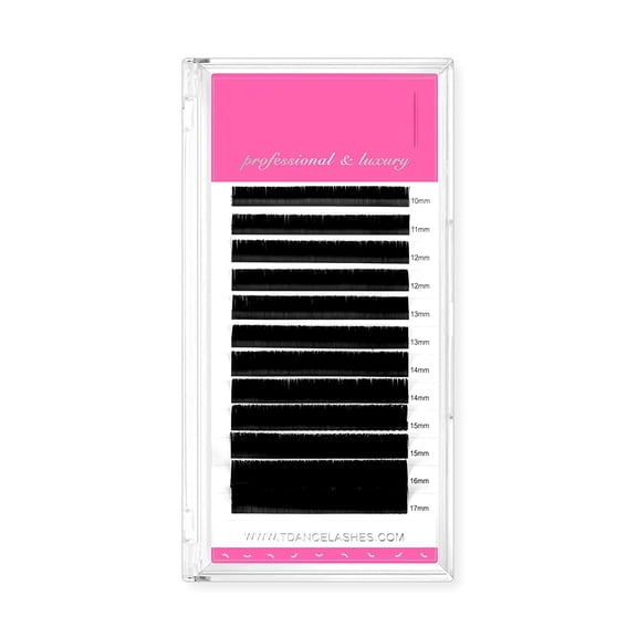 RAGUPEL Lash Extension Matte Black Eyelash Extension C Cc D Dd J B L Curl Volume&Classic Lash Extensions 0.03-0.18Mm Thickness Professional Salon Use(0.05-D,10-17 Mm)