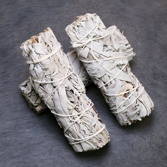 RAGUPEL White Sage Bundles - (1 Pack) - Sage Smudge Stick for Home Cleansing Incense Healing Meditation and California Smudge Sticks Rituals (4 Inch)