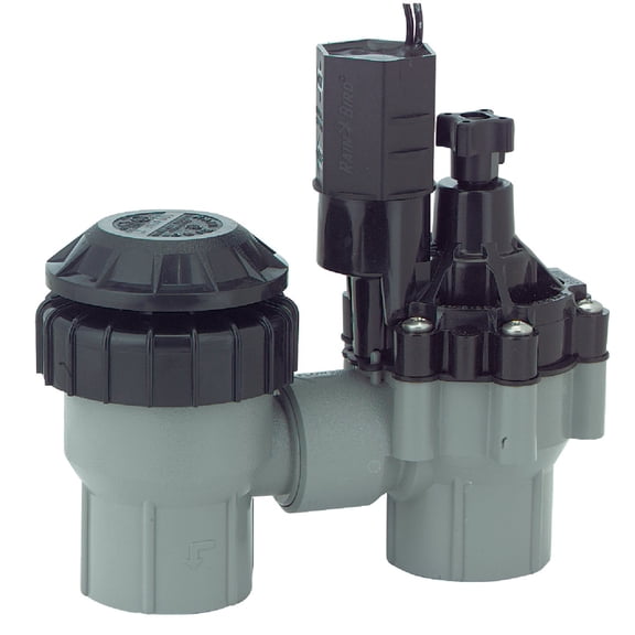 RAIN Bird DASASVF100 Professional Grade Anti-Siphon Valve with Flow Control, 1" Threaded Female x Female 4-Pack