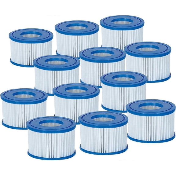 RAIN Lay-z-spa Hot Tub Filter Cartridge Vi For All Lay-z-spa Models - 6 X Twin Pack (12 Filters)(hy)
