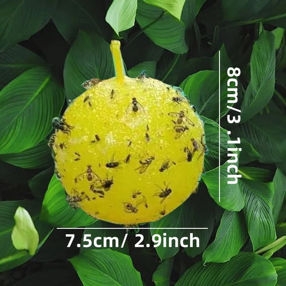 RAIN Pest Control Solutions for Farm Garden and Orchard with Trapping Trap Ball