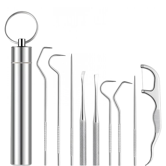 RAIRSKY 2026 New 9 Pcs Dental Pick Portable Stainless Steel Tooth Pick Set Reusable Tooth Stains Remover Dental Tool Teeth Cleaning Tools with Holder for Outdoor Picnic,Camping,Travel