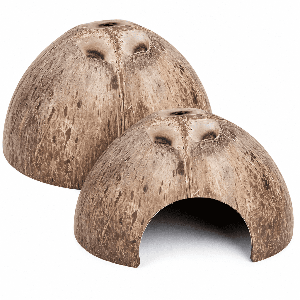 RAIRSKY 2026 New Hermit Crab Shell Terrarium Decor, 1-Piece Large ...