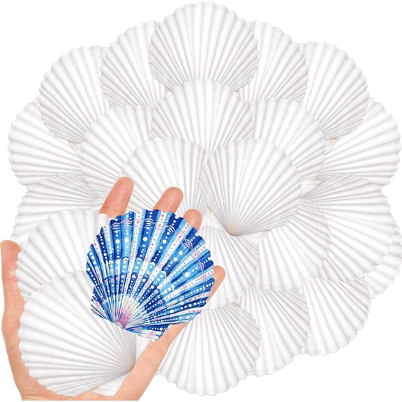 RAIRSKY 20Pcs 2-3 Inch Scallop Shells for Crafts, Natural White Scallop Shells for Painting, DIY Crafts, Decoupage, Beach Wedding Decor, Seashells Bulk for Home
