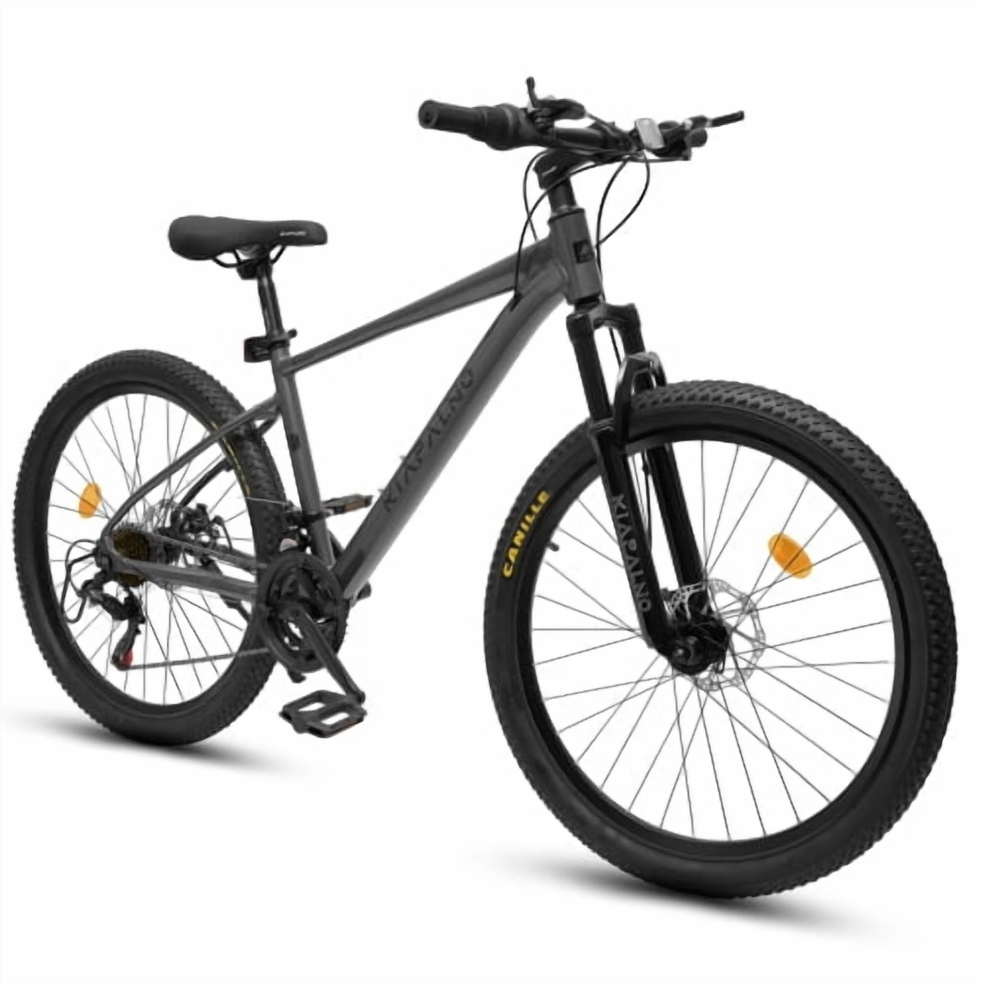RAISTYW 24 inch Wheels Mountain Bike for Adult and Women, 21-Speed Steel Frame Bicycles with Shock Fork, Plus Shock Absorber, Black and Blue