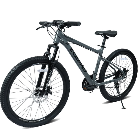 RAISTYW 26 inch Mountain Bike for Adult, 21 Speed MTB Bicycle for Men ...
