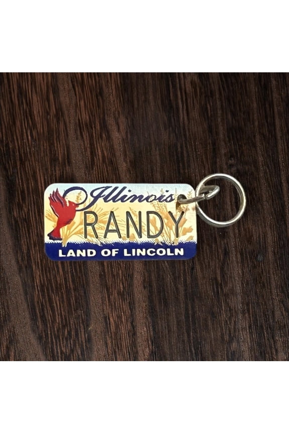 RANDY Name Keychain License Plate Illinois Land of Lincoln Great Gift 2 New