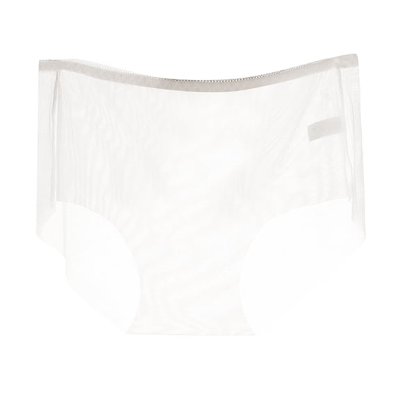 RANJIE Lingerie for Women Breathable Full Transparent Crotch Low Waist Seamless Mesh Large Babydoll Underwear Women's Panties,White