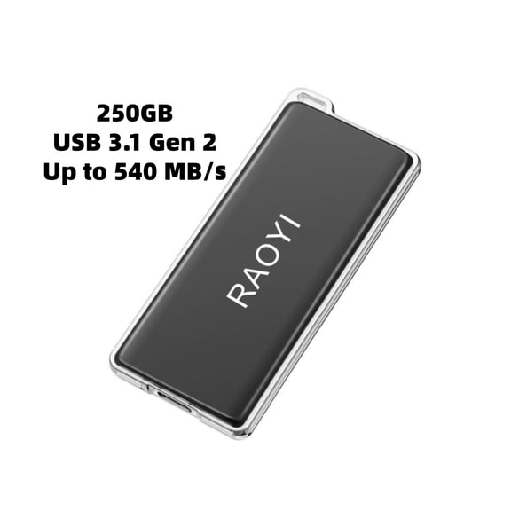 RAOYI 250G External Hard Drive,Portable SSD up to 540MB/s,USB 3.1 Gen2,Compatible with PS4/Windows/Mac,Black