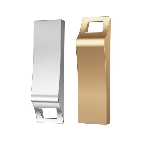 RAOYI 64GB USB 2.0 Flash Drive Read Speed up to 25MB/s, USB-A, 2-Pack
