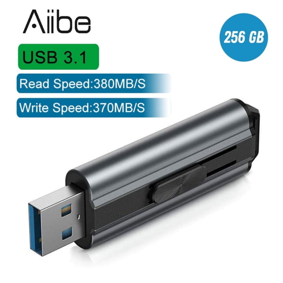 RAOYI 64GB USB 3.1 Flash Drive High Speed up to 380MB/s Thumb Drive Memory Stick with Keychain