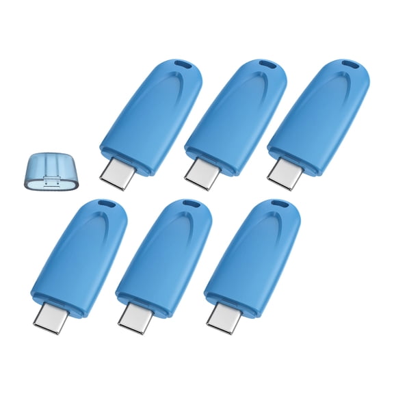 RAOYI 64GB USB-C 2.0 Flash Drive , Read Speed up to 25MB/s , 6-Pack