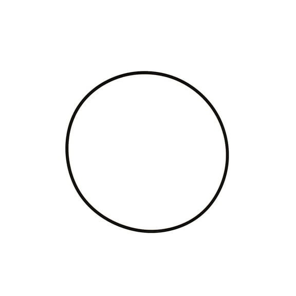 RAParts 190492A1 New O-Ring Fits Case-IH Fork Lift Models 580L 585G 586G 588G +