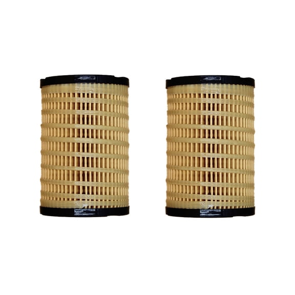RAParts (2 Pk) 26560163 Fuel Filter Fits Landini Tractor PowerFarm Meccanico 60 75 85 95