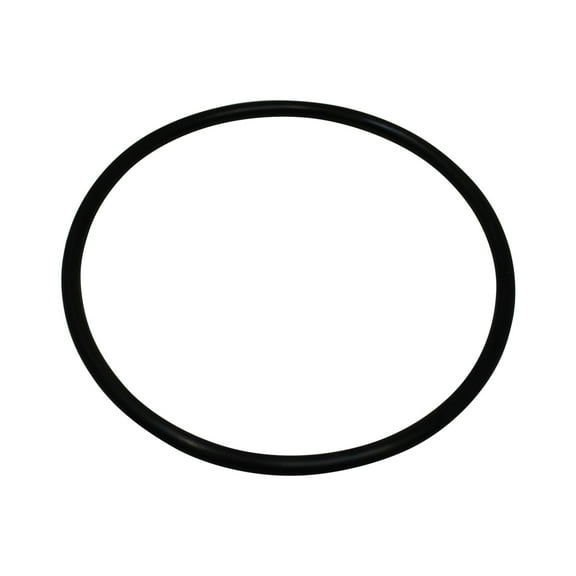 RAParts 254693R1 Bull Pinion Shaft Bearing O-Ring 70923601 Fits International