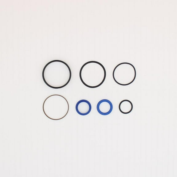 RAParts 3484807M1 Fits Massey Ferguson 4WD Tractor Steering Cylinder Seal Kit 340 350 ++