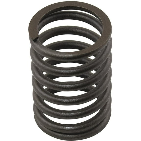 RAParts AM0780006 Valve Spring, Outer