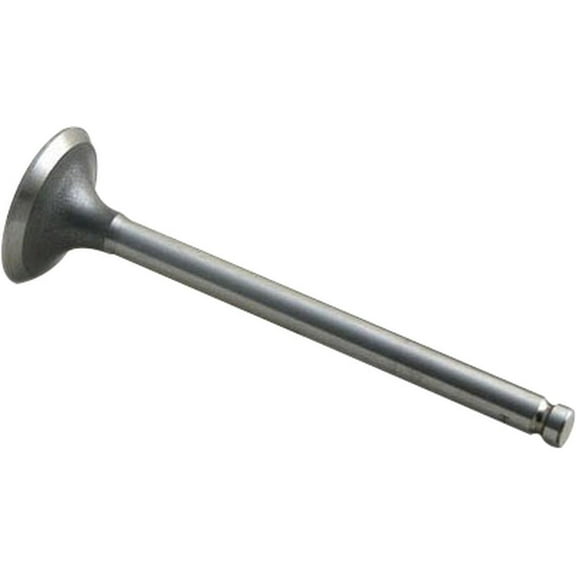 RAParts AM31431591 Exhaust Valve