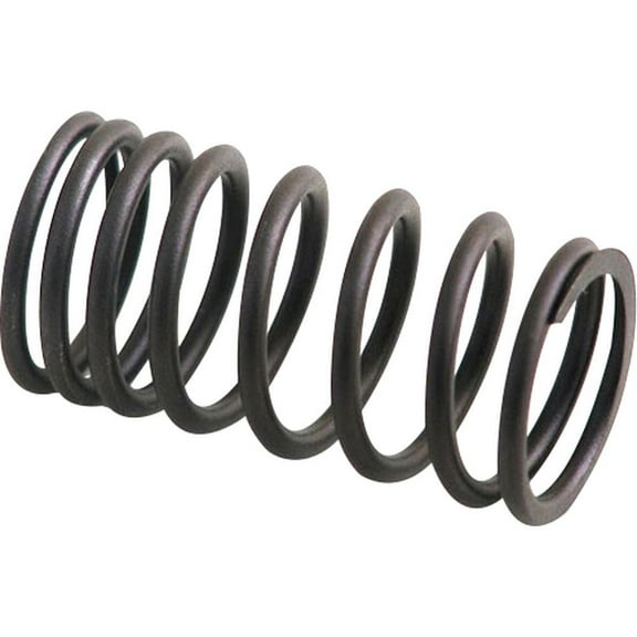 RAParts AM31745121 Outer Valve Spring