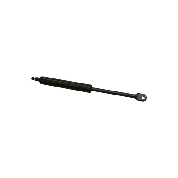 RAParts AM82002925 Gas Strut, Roof Hatch
