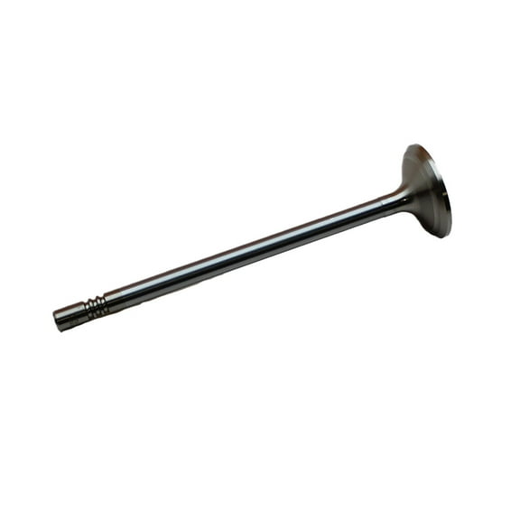 RAParts Exhaust Valve Fits JCB Engines Rough Terrain Forklifts 320/03698 320/03616