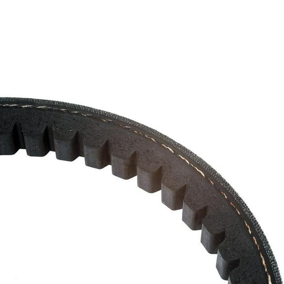 RAParts S.19121 Raw Edge Moulded Cogged Belt - Belt No. AVX171460 Fits Belt References