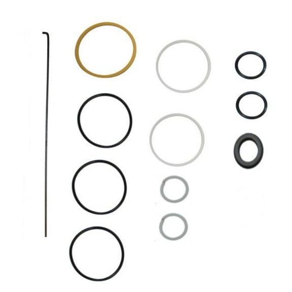 RAParts Steering Cylinder Seal Kit - Fits Case-IH - 55355C91
