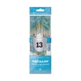 thumbnail image 1 of RAQUA-304 | Aqualon™ 13pc Round Brush Set, 1 of 4