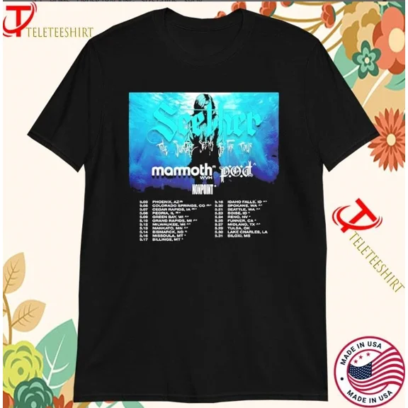 RARE Seether The Surface Seems So Far Tour 2025 Dates T-shirts
