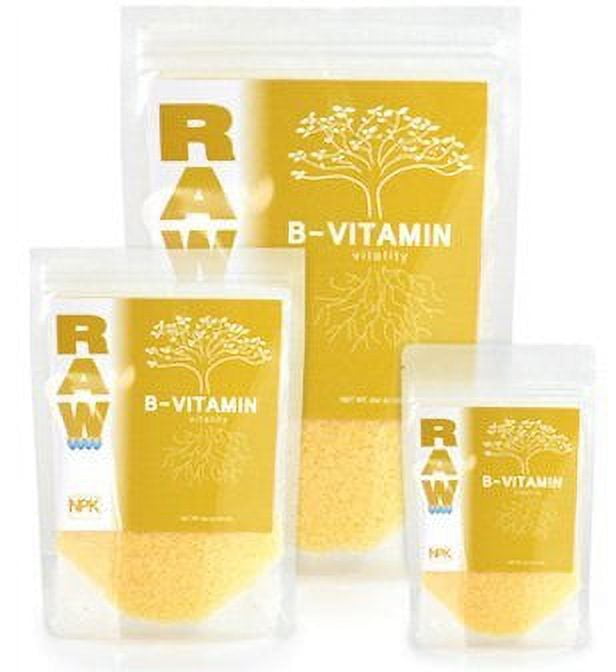 RAW B-Vitamins 0.5 lb.