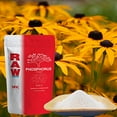 thumbnail image 1 of RAW Phosphorus 2lb - High-Performance Plant Booster for Flowering and Root Development - Indoor, Outdoor, Hydroponic Use, 1 of 6