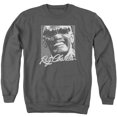 thumbnail image 1 of RAY CHARLES/SIGNATURE GLASSES - ADULT CREWNECK SWEATSHIRT - CHARCOAL - LG, 1 of 1
