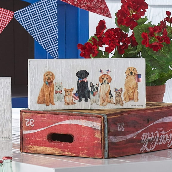 RAZ Imports 13.75" Patriotic Dog Box Sign, Wall Art Decoration for Fourth of July